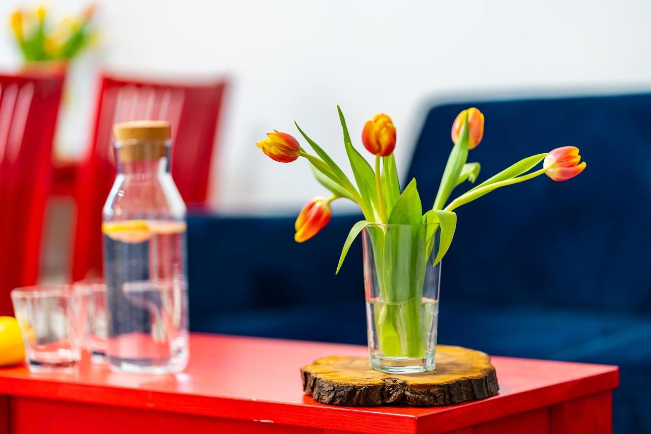 Apartament Poludniowy 루다 실롱스카 외부 사진